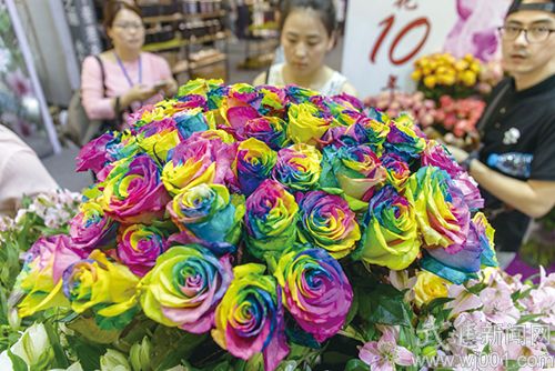 2016國際家庭花卉園藝展覽會亮相嘉澤(圖1) A87U3503.jpg