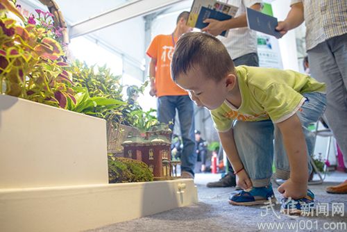 2016國際家庭花卉園藝展覽會亮相嘉澤(圖3) A87U3568.jpg