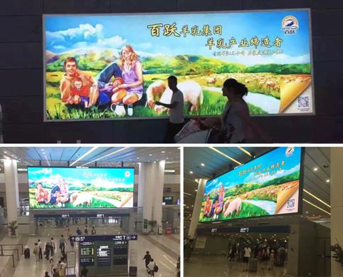 聚焦第16屆中國(guó)孕嬰童展(圖5)